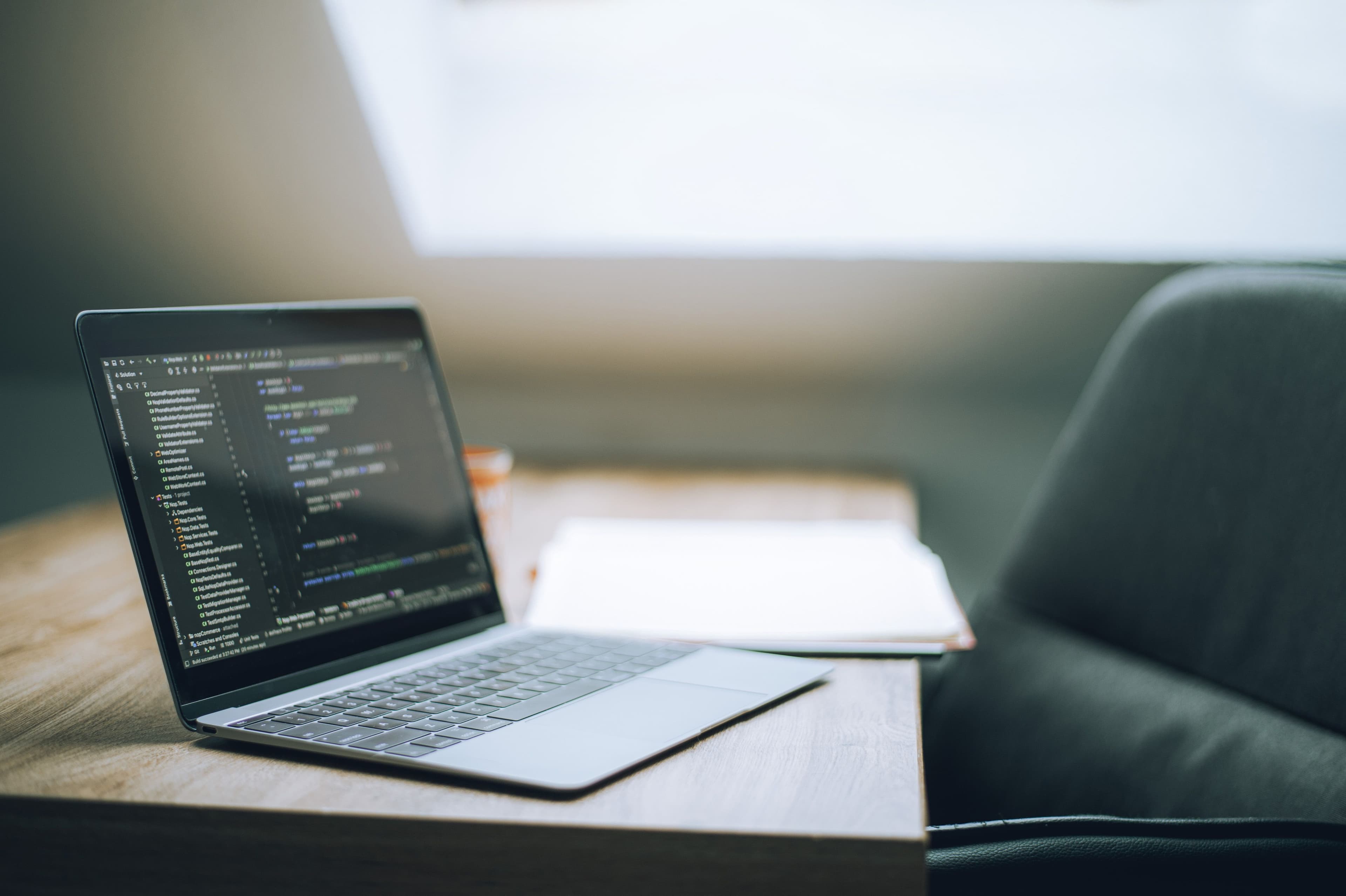 Web Development